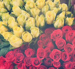 red and yellow roses, background and texture