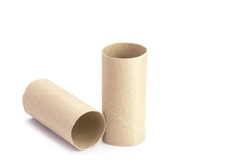 Paper tube of toilet paper
