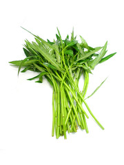 water spinach isolated on white background
