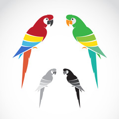 Naklejka premium Vector image of a parrot on white background.