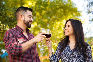 Making a toast in a picnic
