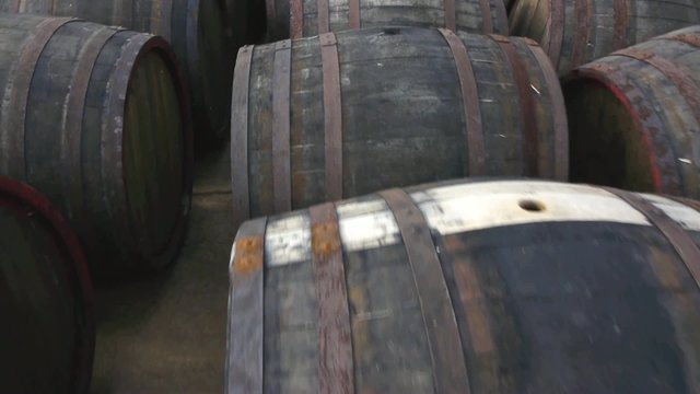 Flying over the rows of wooden wine barrels