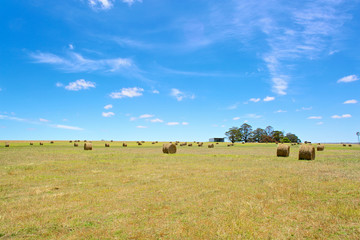 Australian rural field landscape with haystacks and blue sky