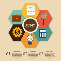 Financial Examiner Infographic. Vector illustration.