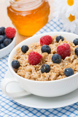 oat porridge with fresh berries, vertical