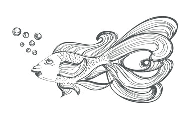 goldfish drawing on white