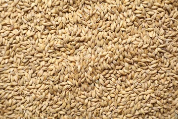 Deurstickers Malt grains © hiddenhallow