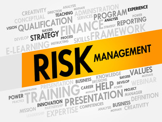 Risk Management word cloud, business concept