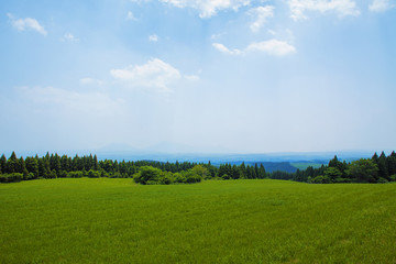 Fototapeta premium 青空と草原