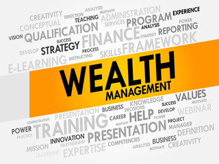 Wealth Management word cloud, business concept