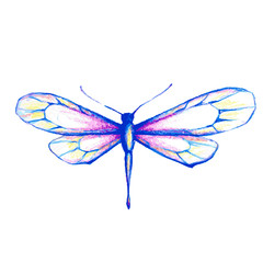 butterflies design