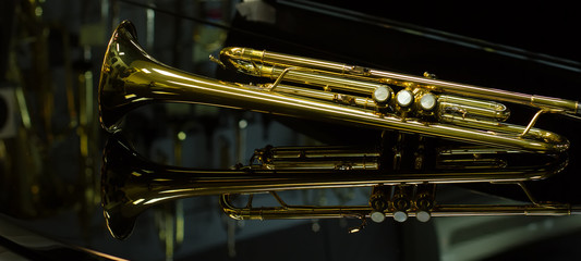 beautiful golden trumpet