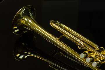Fototapeta na wymiar shining golden trumpet