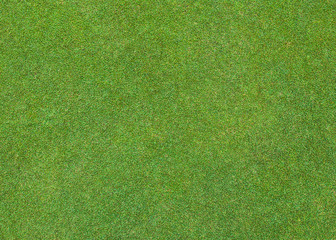 Fototapeta na wymiar Beautiful green grass pattern