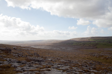 Irish desert