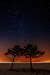 Plakat Two trees are growing together on the background of the starry sky