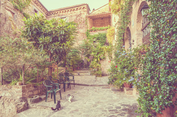 Fototapeta na wymiar Small alley in the Tuscan village