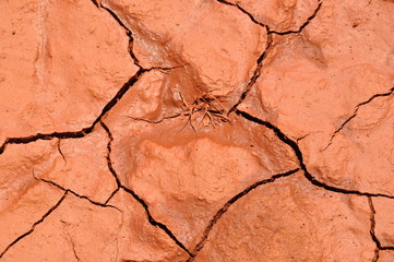 Ground