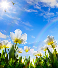 art Spring flower on Easter Day