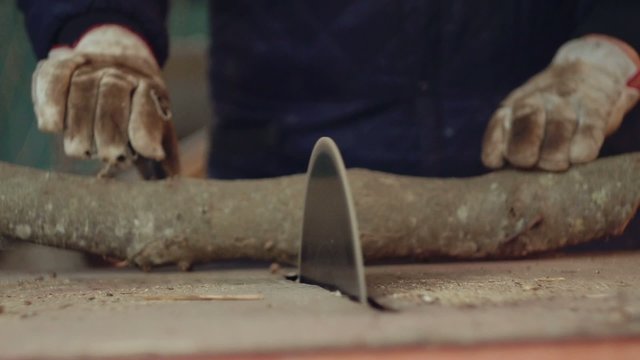 Man chopping firewood with circular saw. Slow motion