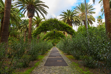 santa cruz garden