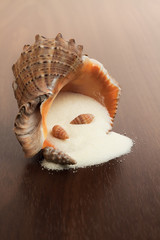 bath salt and seashell on the wooden background