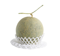 Net foam  wrap Melon on white background
