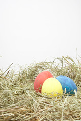 Drei-Farben-Theorie vom Osterhasen