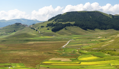 Piano Grande di Castelluccio (Italy)