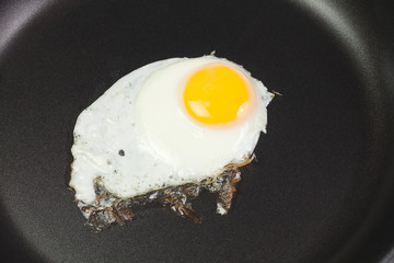 fried egg in a frying pan