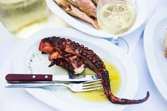 Grilled octopus in greek taverna