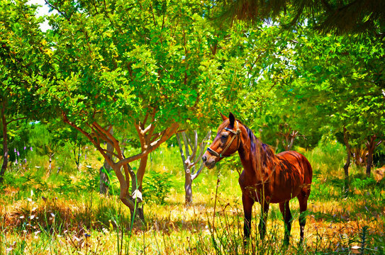 Digital painting of a chestnut horse out grazing in a field