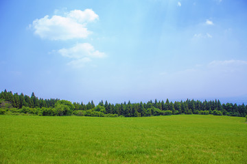 Obraz premium Błękitne niebo i łąka