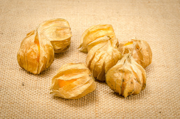 Cape gooseberry