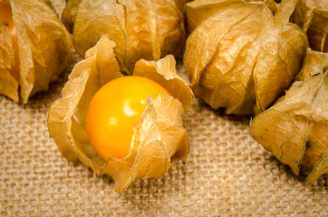 Cape gooseberry