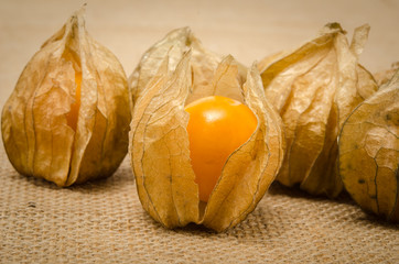 Cape gooseberry