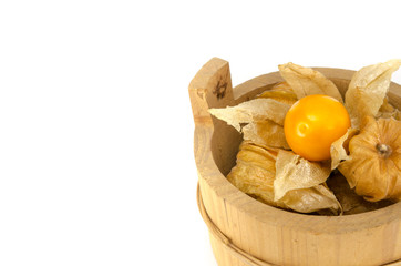 Cape gooseberry
