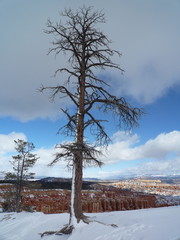 Bryce Canyon