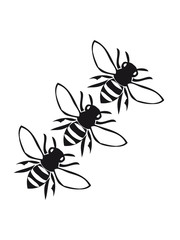 flying bees