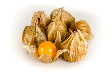 Cape gooseberry