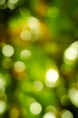 Abstract nature blur