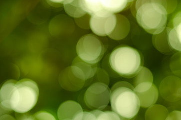 Obraz premium Abstract nature blur