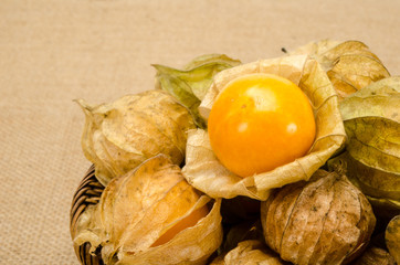 Cape gooseberry