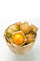 Cape gooseberry