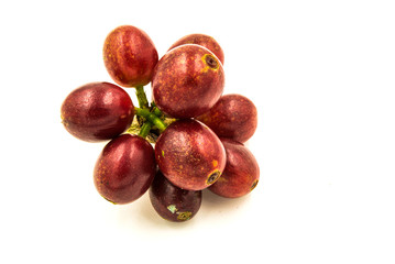 Fresh ripe red coffee beans on a white background.