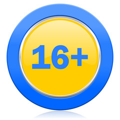 adults blue yellow icon