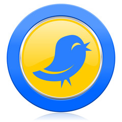 twitter blue yellow icon