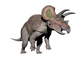 triceratops dinosaur - 3d render