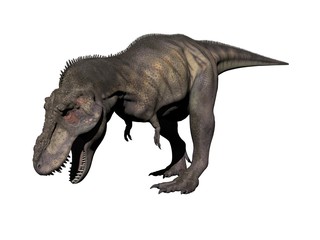 Obraz na płótnie Canvas tyrannosaurus dinosaur - 3d render