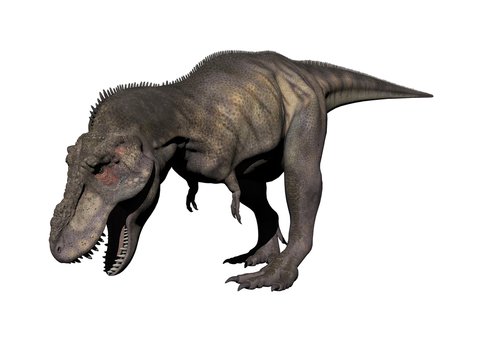 tyrannosaurus dinosaur - 3d render
